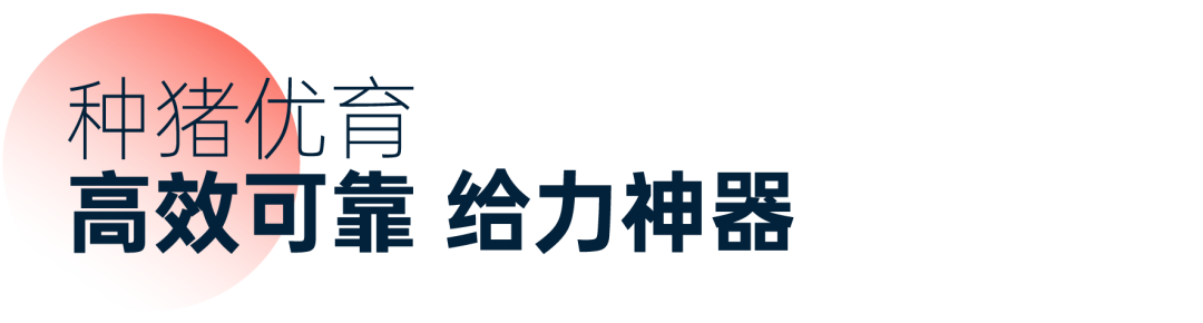 10.png